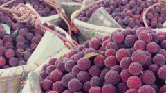 fv品牌防晒霜(nf牌防晒霜)