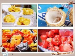 三亚摩托车防晒霜品牌排行榜(三个工作机构,其中负责)