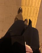 适合敏感肌用的防晒霜品牌