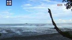 对海洋的防晒霜品牌(海洋 防晒霜)