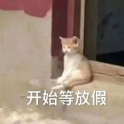 飞乐运动品牌防晒霜推荐(飞乐运动品牌防晒霜推荐哪款)