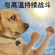 适合消防员的防晒霜品牌(消防员用的东西)