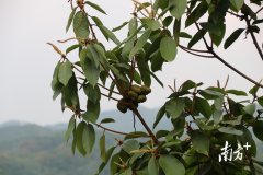 防害防晒霜品牌(知名防晒霜)