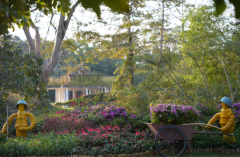 西双版纳婴儿防晒霜品牌(西双版纳防晒霜需要带几个+的)