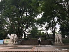 越秀区防晒霜品牌店(防晒霜哪家)