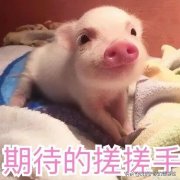 防晒霜一天用了两个品牌(一只防晒霜)