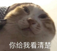 腿部防晒霜推荐品牌女(女士防晒霜推荐)